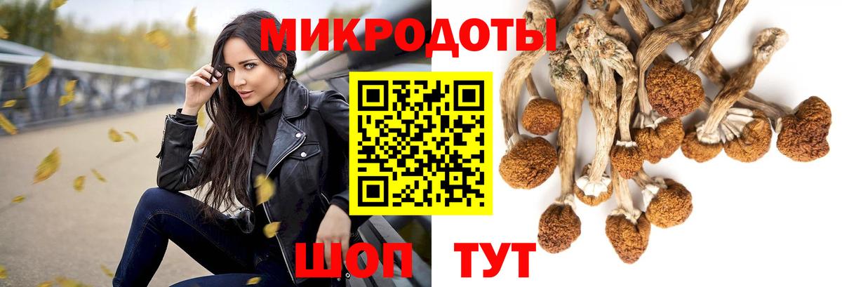 купить наркотик  Галлюциногенные грибы мицелий  Вход с VPN  Галлюциногенные грибы Cubensis  Кизляр 