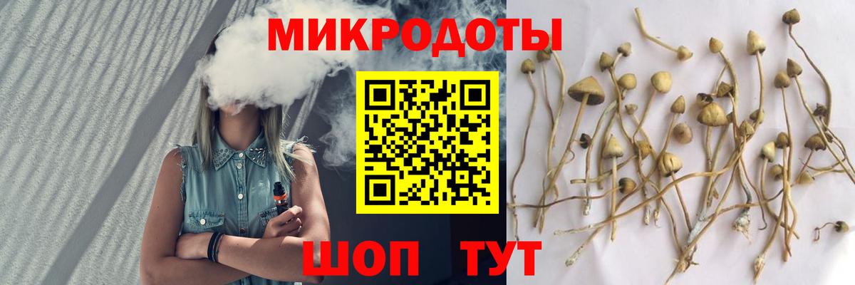 Галлюциногенные грибы мухоморы Кизляр